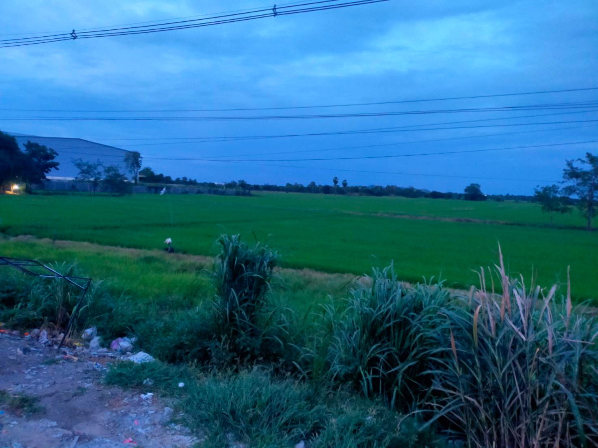 รูป ให้เช่าที่ดิน 2 ไร่ และ 4 ไร่ ใกล้ดูโฮมสาขานครสวรรค์ - รูปที่ 8/9