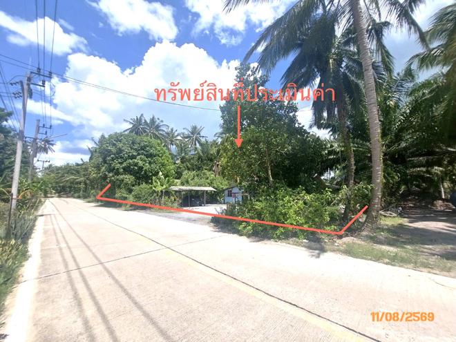 รูป บ้านเดี่ยว 320 ตร.วา ดอนสัก สุราษฎร์ธานี 1.5M - รูปที่ 4/15