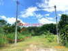 listing thumbnail image 39
