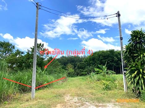 picture LAND 206 Sq.w. Chaiburi Surat Thani for 1.3M - 40/43
