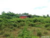 listing thumbnail image 30