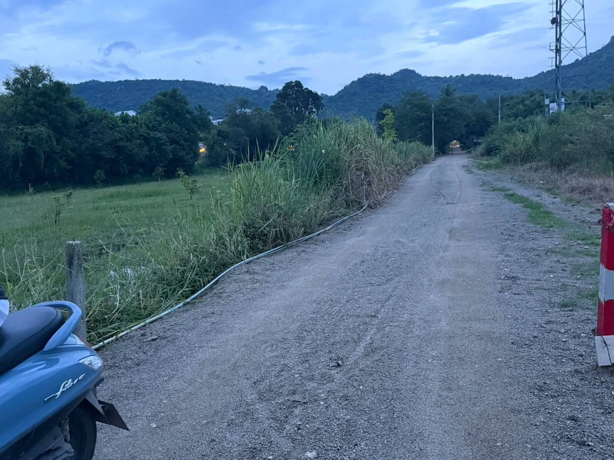 รูป ขายที่ดินเขาใหญ่ หมูสี ถนนธนะรัชต์ 2 ไร่ ใกล้ทางขึ้นอุทยานแห่งชาติเขาใหญ่ จากถนนธนะรัชต์ 250 ม. ใกล้โรงแรม เทมส์วัลลีย์ ตลาดสามแยกกุดคล้า 087-9074045 - รูปที่ 2/2