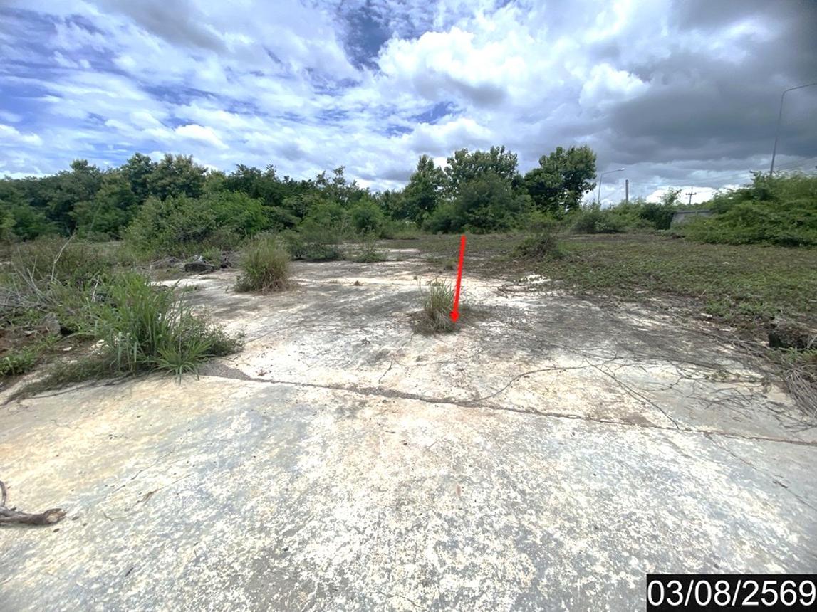 รูป โกดัง 9760 ตร.วา วังสะพุง เลย 21.3M - รูปที่ 11/17