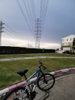 listing thumbnail image 9