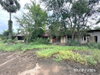 listing thumbnail image 37
