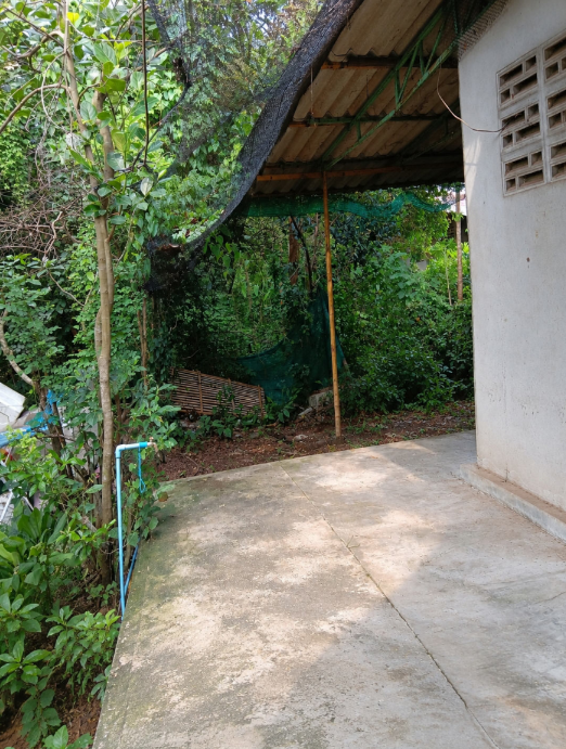 picture HOME 270 Sq.w. Si Mahosot Prachinburi for 1.2M - 13/22