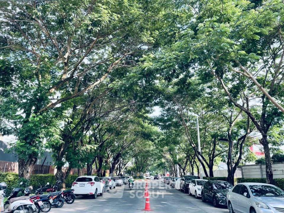 รูป คอนโด สตูดิโอ ที่ ดีคอนโด นิม เชียงใหม่ ใกล้ เซ็นทรัล เฟสติวัล เชียงใหม่ (ID 3345156) - รูปที่ 14/15