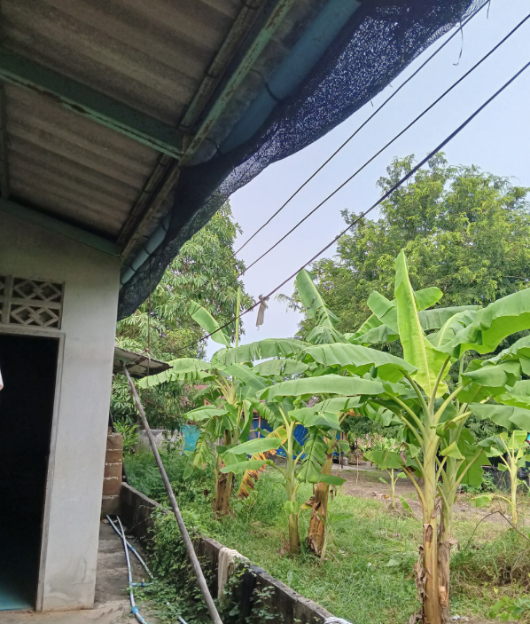 picture HOME 270 Sq.w. Si Mahosot Prachinburi for 1.2M - 14/22