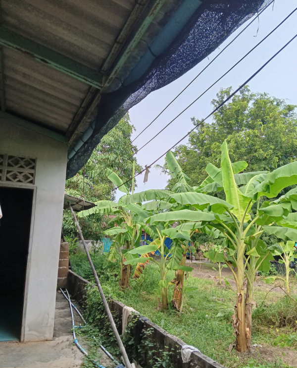 picture HOME 270 Sq.w. Si Mahosot Prachinburi for 1.2M - 11/22