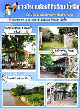 ขายที่ดิน ตำบลแม่แฝก อำเภอสันทราย จังหวัดเชียงใหม่ เนื้อที่ 3 งาน 48 ตารางวา