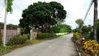 listing thumbnail image 7