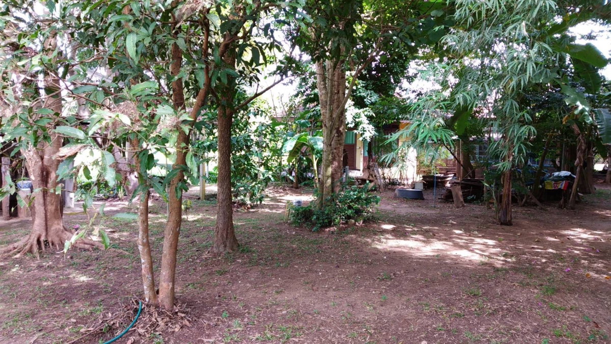 รูป ขายที่ดิน ตำบลแม่แฝก อำเภอสันทราย จังหวัดเชียงใหม่ เนื้อที่ 3 งาน 48 ตารางวา - รูปที่ 6/9