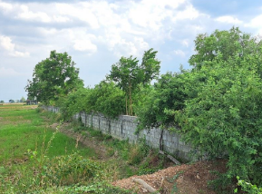 picture PROPERTY 2046 Sq.w. Sawankhalok Sukhothai for 6.1M - 6/7