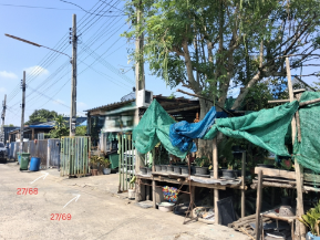 รูป ทาวน์เฮ้าส์ 32.3 ตร.วา โครงการ บ้านดงไม้งาม นนทบุรี บางใหญ่ นนทบุรี 990,000 - รูปที่ 8/10