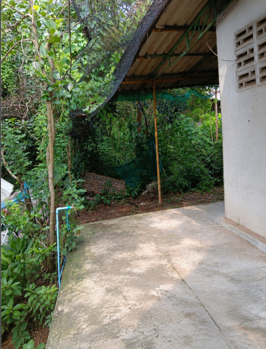 picture HOME 270 Sq.w. Si Mahosot Prachinburi for 1.2M - 16/22