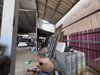 listing thumbnail image 12