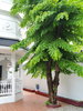 listing thumbnail image 37