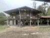 listing thumbnail image 12