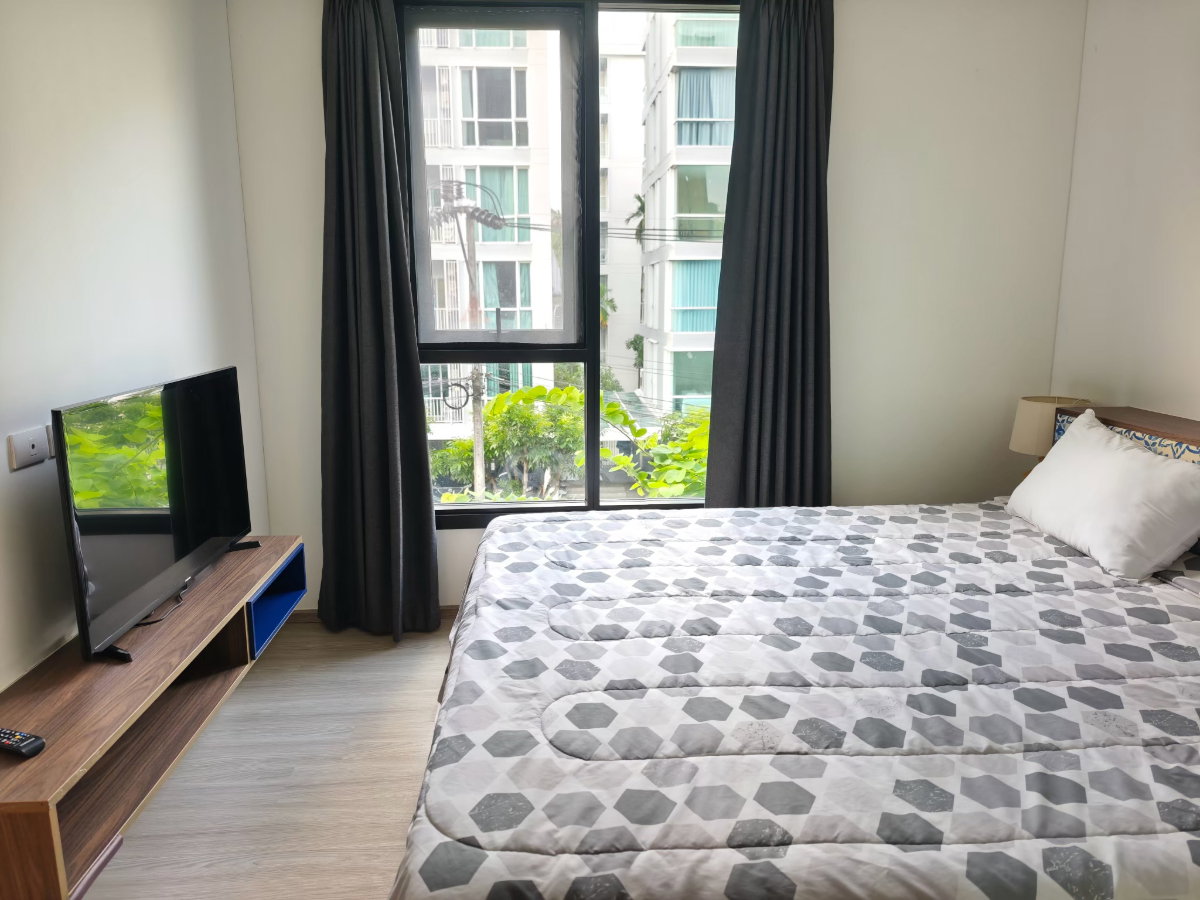 รูป ให้เช่า the base central phuket condo rama 42.00 sqm - รูปที่ 8/16