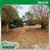 listing thumbnail image 42