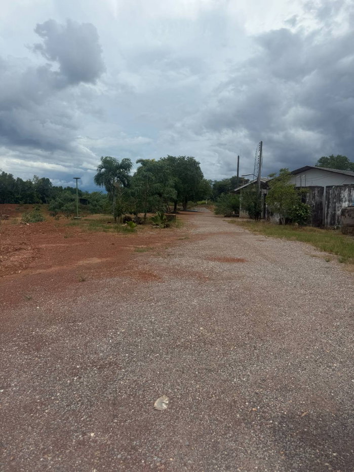 รูป 98401 - ขาย ที่ดินเปล่า 32 ไร่ 3 งาน 31 ตร.ว. ต.ท่าใหม่ อ.ท่าใหม่ จ.จันทบุรี - รูปที่ 12/12