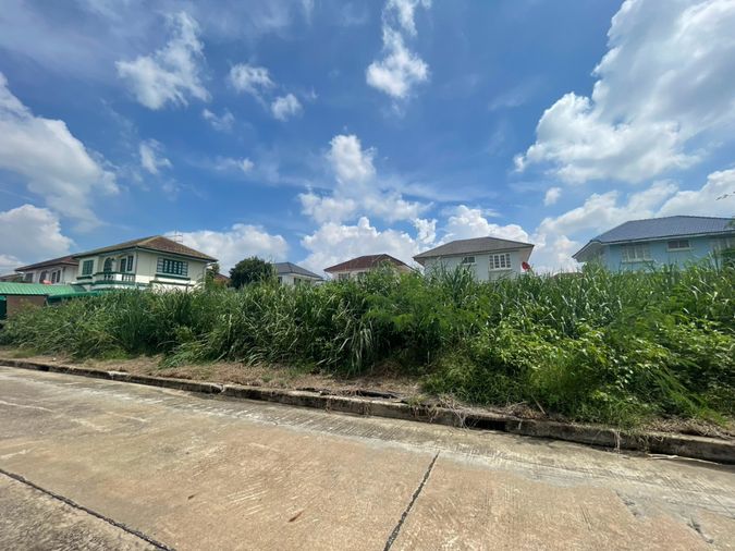 ขายที่ดิน 140 ตร.ว. เขตหนองแขม