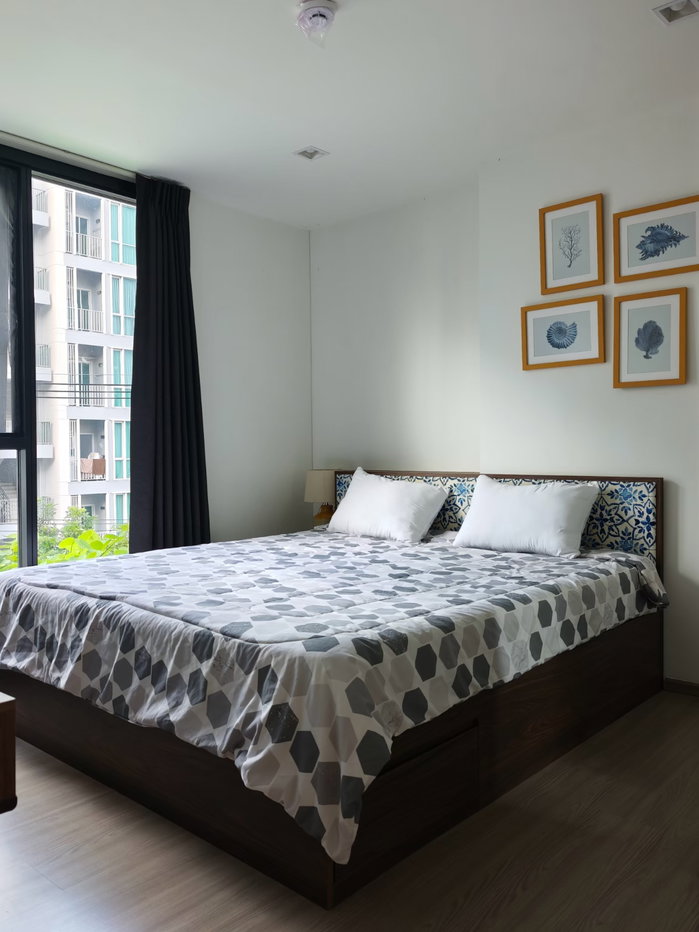 รูป ให้เช่า the base central phuket condo rama 42.00 sqm - รูปที่ 4/16