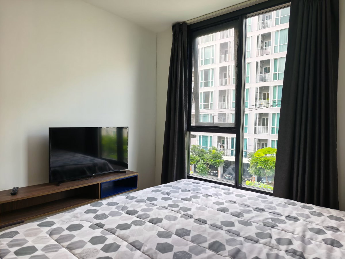 รูป ให้เช่า the base central phuket condo rama 42.00 sqm - รูปที่ 9/16