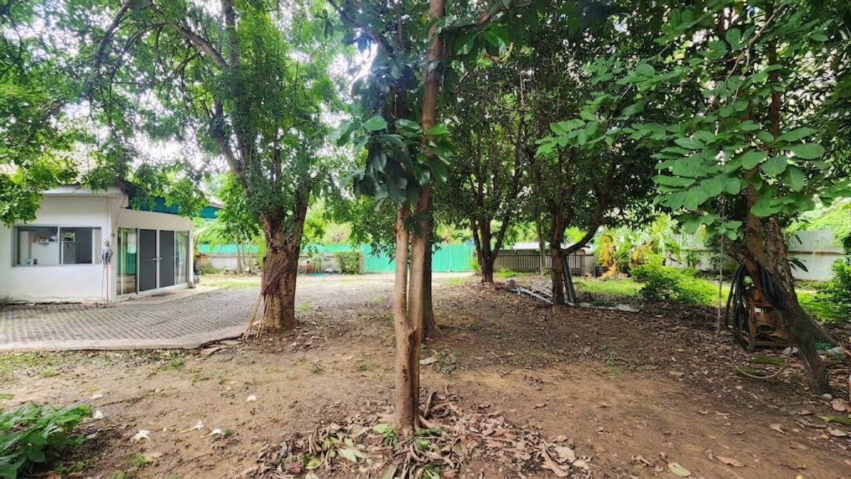 รูป 92920 - ขายที่ดินพร้อมบ้านเดี่ยวชั้นเดียว ซอยงามวงศ์วาน 18 แยก 10 (จุฬาเกษม 16/4) ขนาด 260.8 ตร.ว. พื้นที่ใช้สอย 220 ตร.ม. พื้นที่กว้างขวาง - รูปที่ 2/12