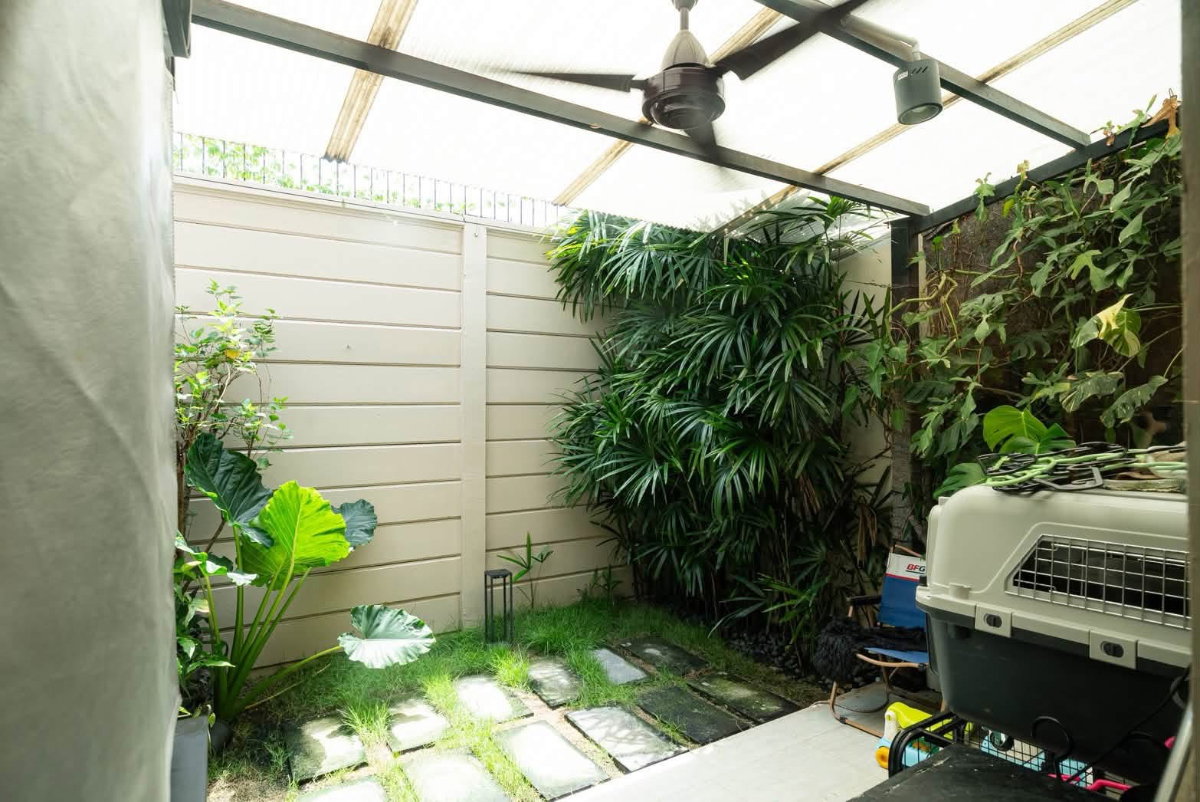 picture Town Avenue Cocos Rama 2 Soi 50 / 3 Bedrooms #TRM2099 - 12/12