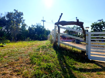 Land for rent Chonburi : 🌿 Land for Rent with Pond, Total Area 4 Rai surrounded by nature🌳