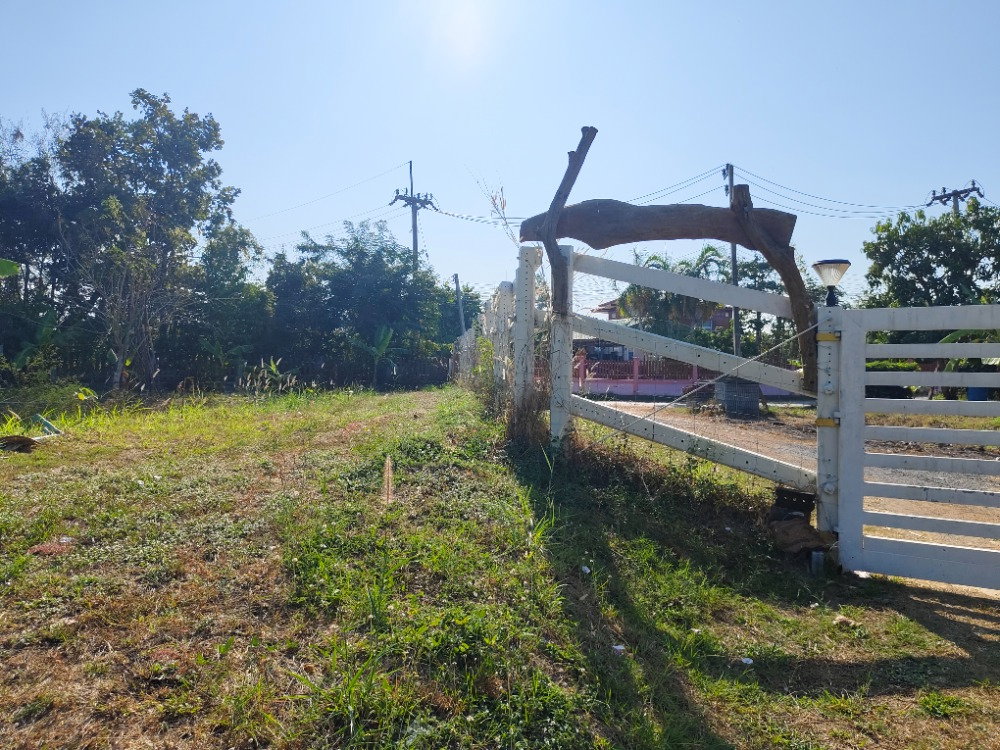 picture 🌿 Land for Rent with Pond, Total Area 4 Rai surrounded by nature🌳 - 1/7