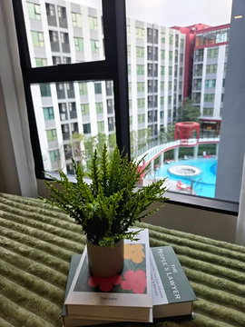 AA209314 | 1Bed | 1Bath | MRT Ratchadaphisek | 24sqm | THB 12,000/mo | Fl.5 — Kave Wonderland Bangkok