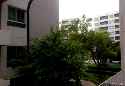 Condos for rent : MN025802 | 1Bed | 1Bath | BTS Punnawithi | 26sqm | THB 10,000/mo | Fl.2 — Elio Del Ray Sukhumvit 64 Bangkok