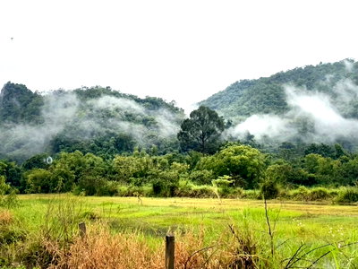 Land for sale Khao Yai National Park : Land for sale in Khao Yai (Mu Si, Thanarat Road 2 Rai. Located just 250 meters off Thanarat Road, near Thames Valley and the Sam Yaek Kut Khla market. 