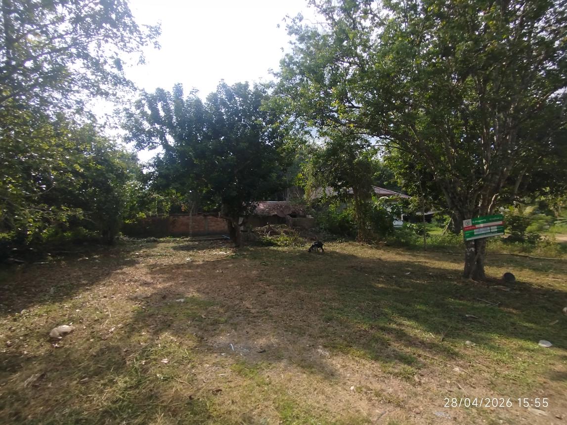 picture HOME 232.2 Sq.w. Muang Krabi Krabi for 2.8M - 10/19