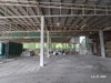 listing thumbnail image 23