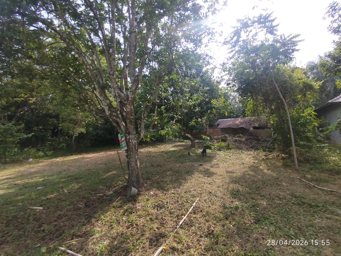 picture HOME 232.2 Sq.w. Muang Krabi Krabi for 2.8M - 11/19