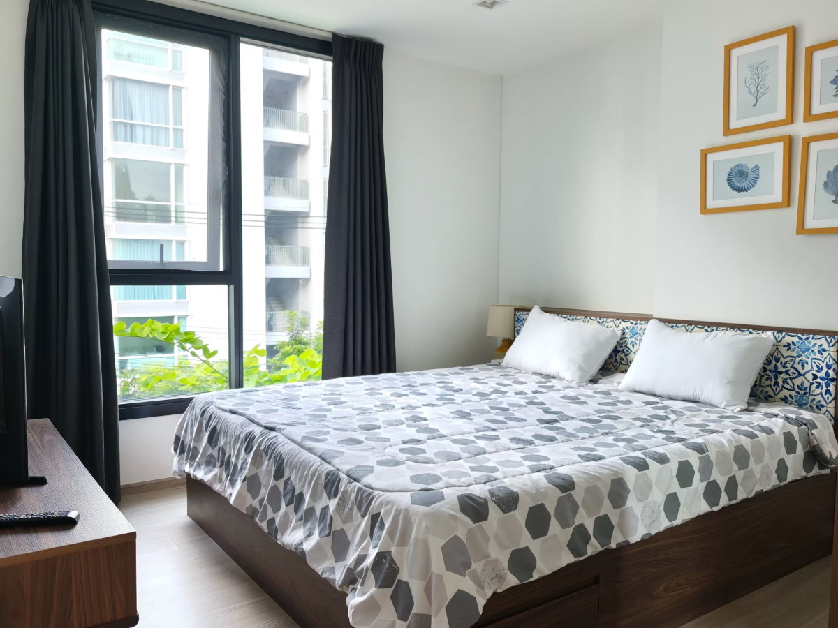 รูป ให้เช่า the base central phuket condo rama 42.00 sqm - รูปที่ 3/16