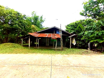 บ้านเดี่ยว 118 ตร.วา หนองกุงศรี กาฬสินธุ์ 518,000