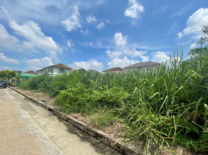 ขายที่ดิน 140 ตร.ว. เขตหนองแขม
