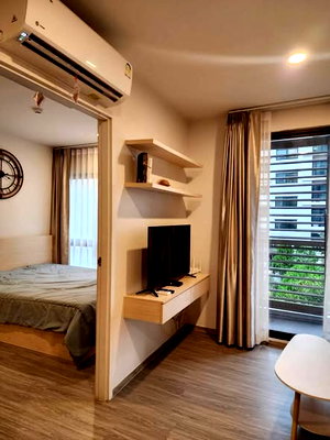 Condos for rent : AA491758 | 1Bed | 1Bath | BTS Bearing | 31sqm | THB 10,000/mo | Fl.3 — Dolce Lasalle Bangkok