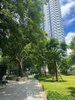 listing thumbnail image 11