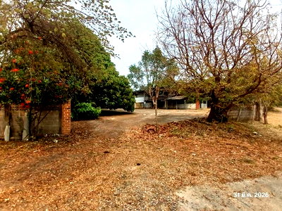 บ้านเดี่ยว ลำพูน : บ้านเดี่ยว 1634 ตร.วา ลี้ ลำพูน 1.1M