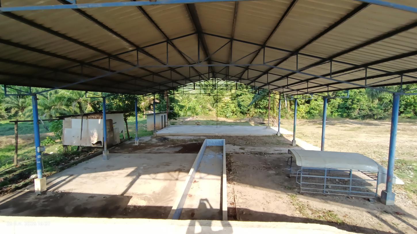 picture HOME 1376 Sq.w. Sikao Trang for 9.3M - 28/33