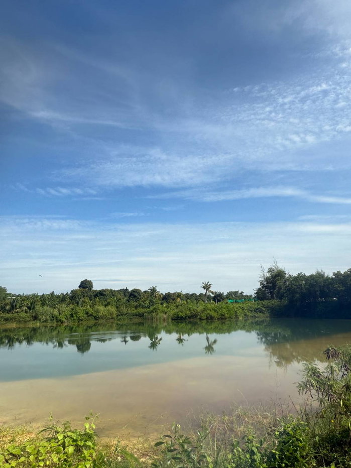 รูป 98401 - ขาย ที่ดินเปล่า 32 ไร่ 3 งาน 31 ตร.ว. ต.ท่าใหม่ อ.ท่าใหม่ จ.จันทบุรี - รูปที่ 2/12