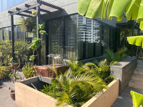 RS7803 ให้เช่า M Silom คอนโดขนาดใหญ่ใจกลางสีลม เลี้ยงสัตว์ได้ พร้อม Large Private Rooftop Garden ให้พื้นที่ส่วนตัวที่โดดเด่น ใกล้ BTS ช่องนนทรี