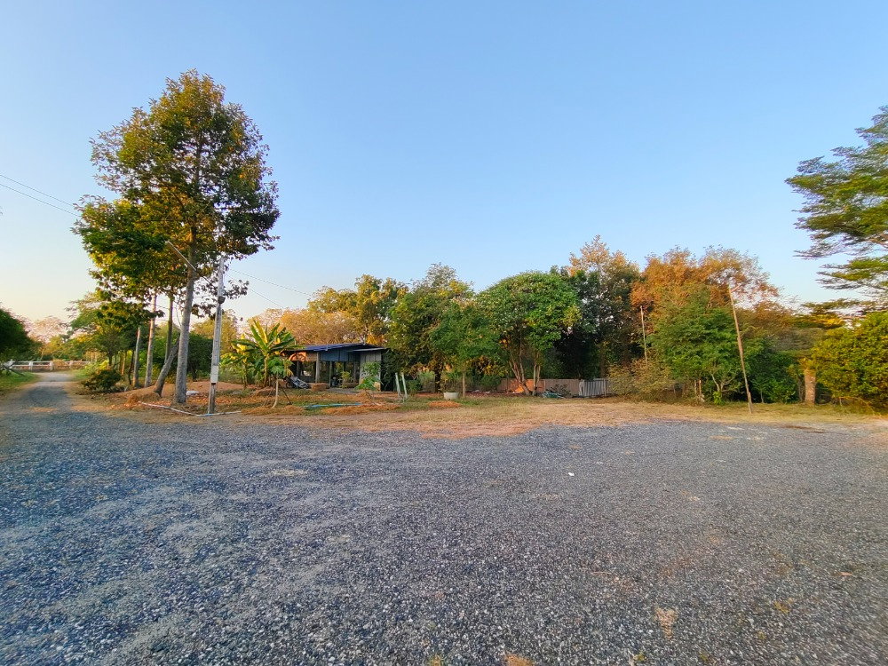 picture 🌿 Land for Rent with Pond, Total Area 4 Rai surrounded by nature🌳 - 7/7