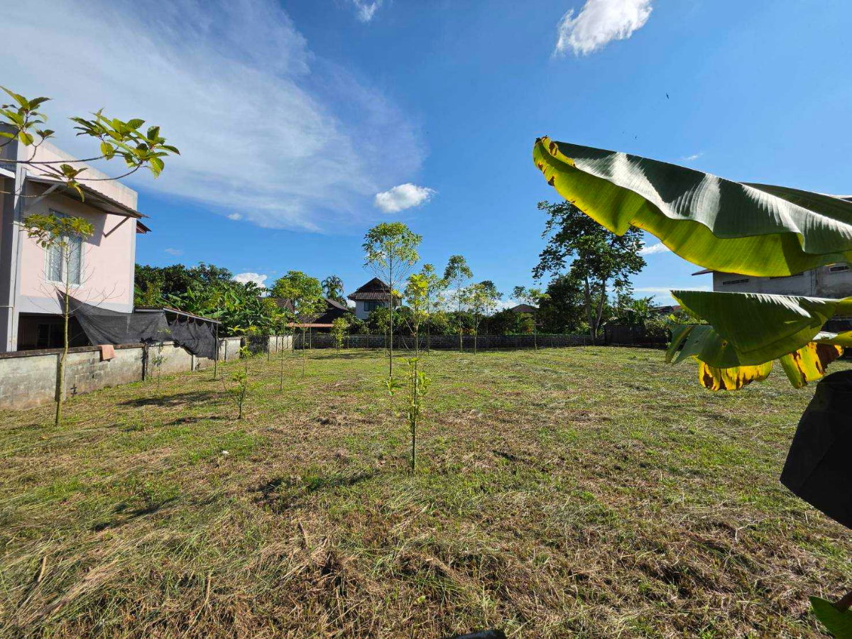 รูป 98698 - ขาย ที่ดินเปล่า ถมแล้ว 127.6 ตรว. ในโครงการบ้านระเบียงชมฟ้า รีสอร์ท เชียงราย ทำเลดี ใกล้ถนนพหลโยธินเพียง 100 เมตร - รูปที่ 3/6