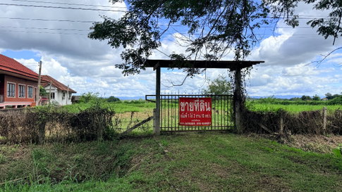 Sell empty land in Phayao Muang